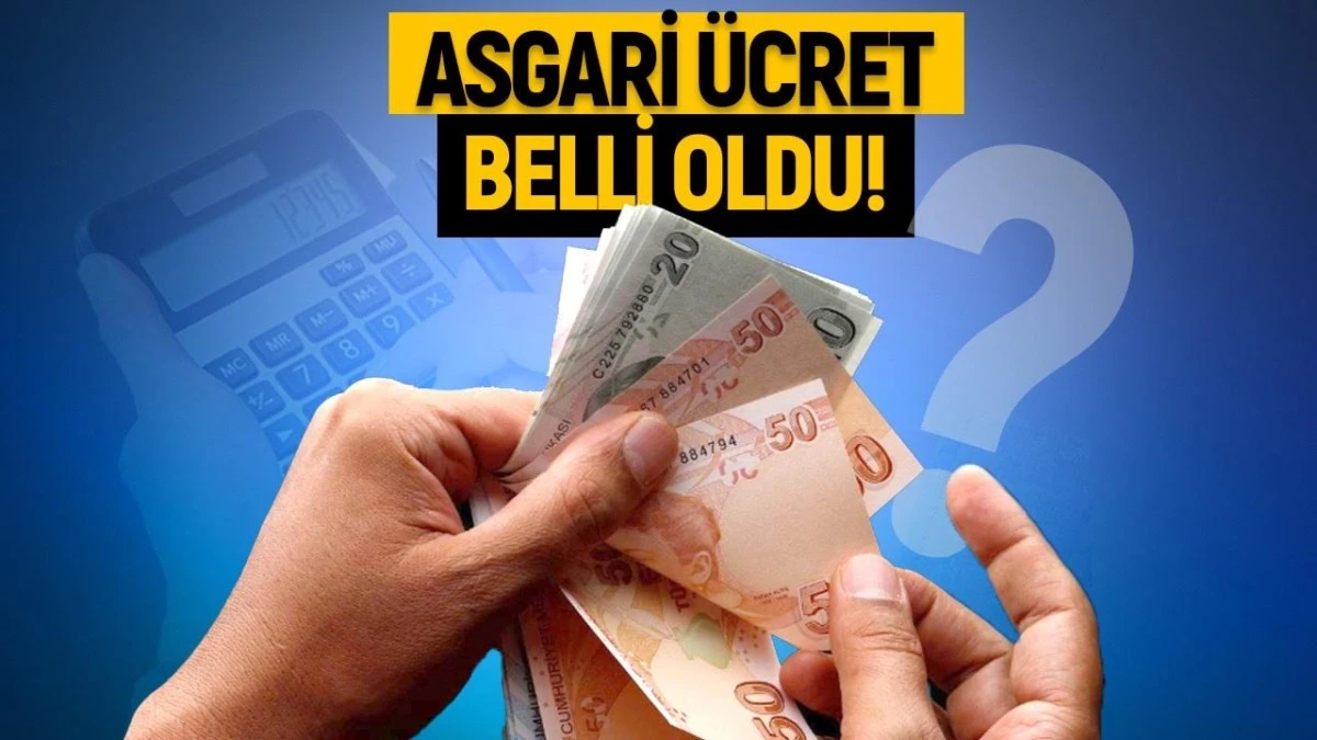 Yeni Asgari Ücret 11 bin 402 TL... Yeterli mi!