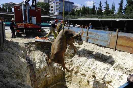 Fotoğraflarla 1 yılın özeti… Yurtta ve dünyada 2018 böyle geçti…