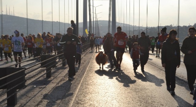 Festival gibi renkli 37. İstanbul Maratonu