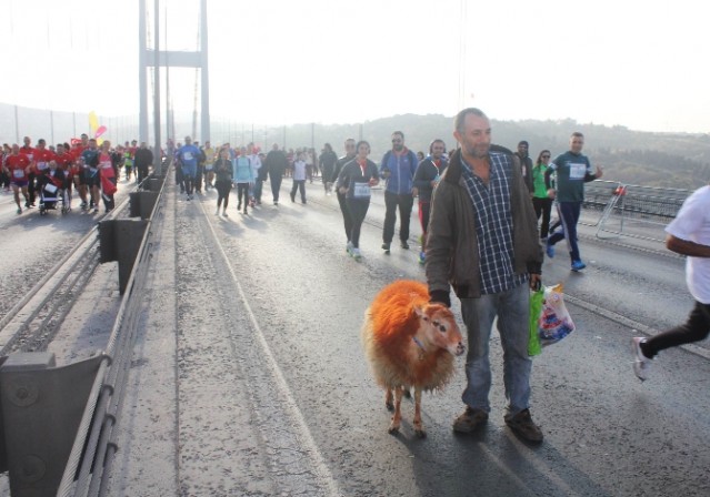 Festival gibi renkli 37. İstanbul Maratonu