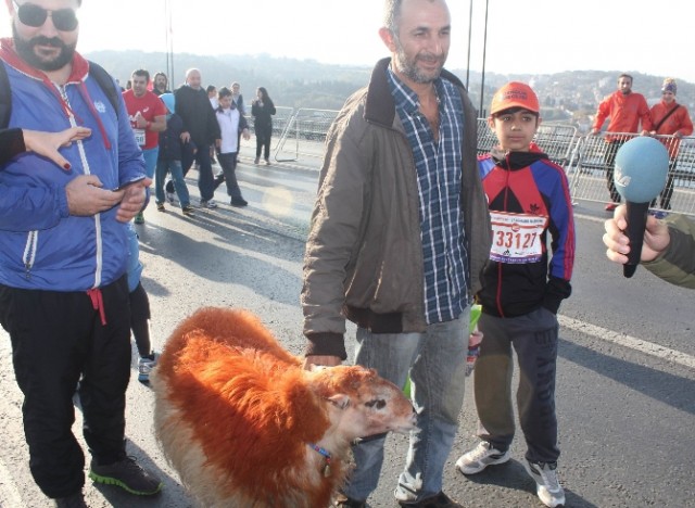 Festival gibi renkli 37. İstanbul Maratonu