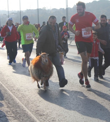 Festival gibi renkli 37. İstanbul Maratonu