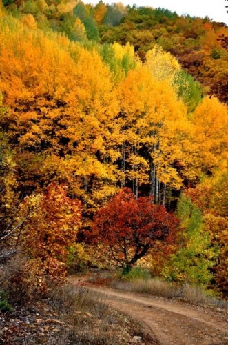 Terörle anılıyor, Doğasıyla göz kamaştırıyor