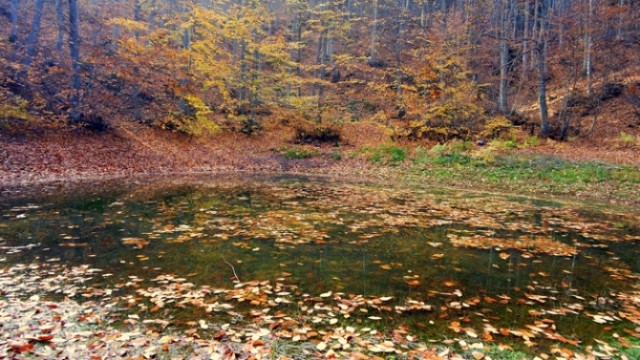 Uludağ sonbaharda da bir başka güzel