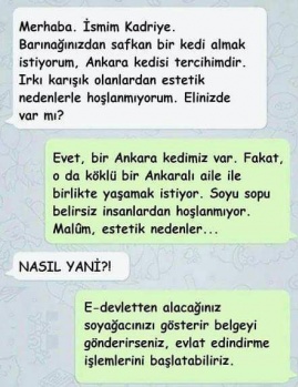 Kediler ve Kediciklerden Birbirinden Farklı Kareler...