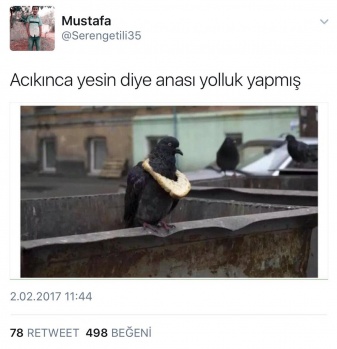 Twitter Aleminden "Çok Özel” Mesajlar!..