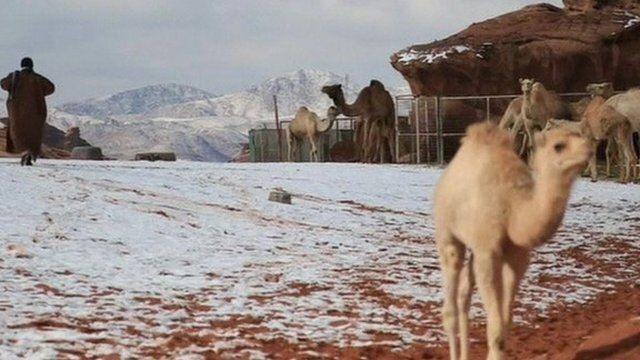 Çölde KAR.. Arabistan Çöllerinde kardan deve yaptılar!