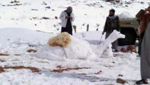 Çölde KAR.. Arabistan Çöllerinde kardan deve yaptılar!