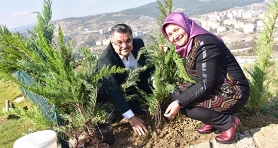 Kayı Boyu Anıtı çevresine 11.11.2017 günü saat 11:11'de 11 bin 11 adet ardıç fidanı dikildi