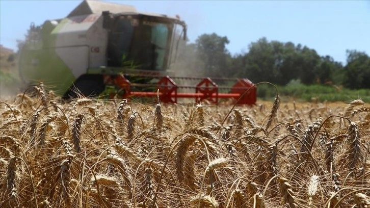 115,5 milyon liralık tarımsal destekleme ödemeleri bugün çiftçilerin hesaplarına yatırılacak