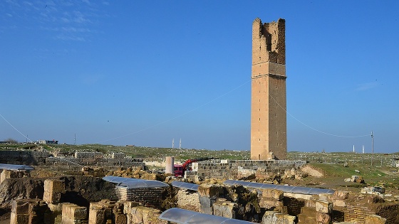 '12 aylık kazılarla Harran'ın kalıcı listeye girmesi kolaylaşacak'