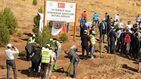 '15 Temmuz Demokrasi Şehitleri Hatıra Ormanı' oluşturuldu