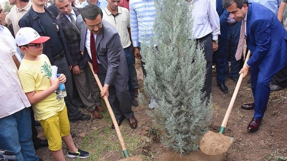 15 Temmuz şehitleri anısına fidan dikildi