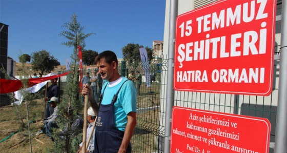 15 Temmuz şehitleri için 246 fidan toprakla buluştu