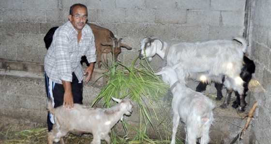 15 Temmuz şehitlerinin yakınları için duygulandıran yardım