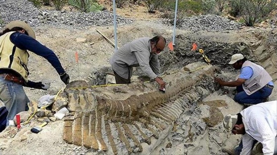 174 milyon yıllık dinozor fosili bulundu