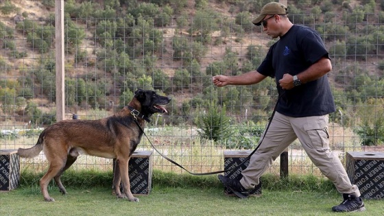 18 yılda 150 arama kurtarma köpeği yetiştirdi