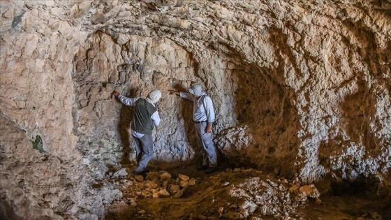 2 bin 500 rakımlı dağdaki mağarada bulunan kaya resimleri araştırılıyor