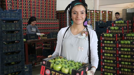 2 bin nüfuslu köyde 2 bin 500 kişiye istihdam sağlanıyor