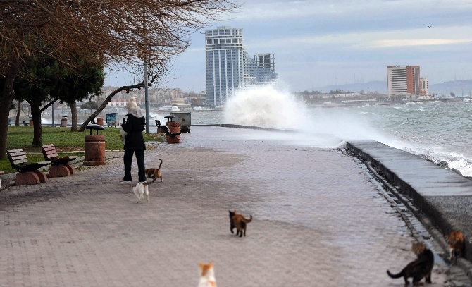 Fotoğraflarla İstanbul’da lodos