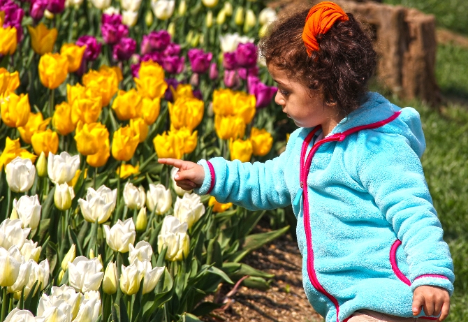 Festivalden geriye fotoğraf kareleri kaldı