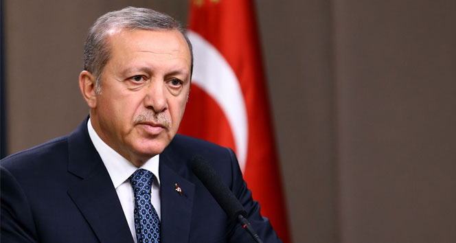 Erdoğan Norveç'in Ankara Büyükelçisi Ellefsen'i kabul etti