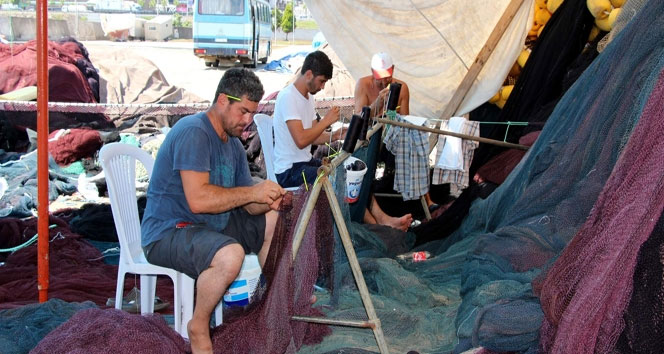 Balıkçıların tatlı telaşı