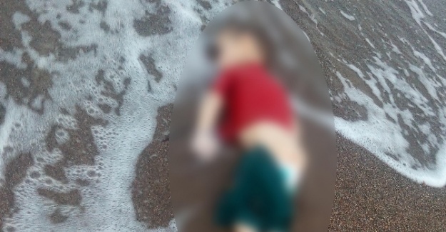 Aylan’ın halası: Bütün dünya suçlu