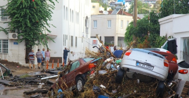 Bodrum bu dehşete uyandı