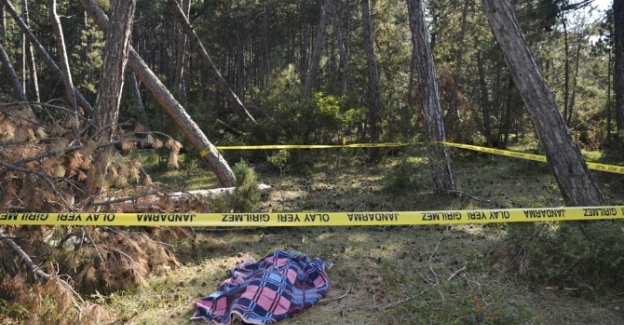 Eşinin kestiği ağacın altında kalan hamile kadın öldü