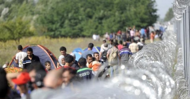Macaristan şimdi de sınırına tel örgü çekiyor