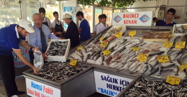 Marmara’da balık bolluğu fiyatları düşürdü