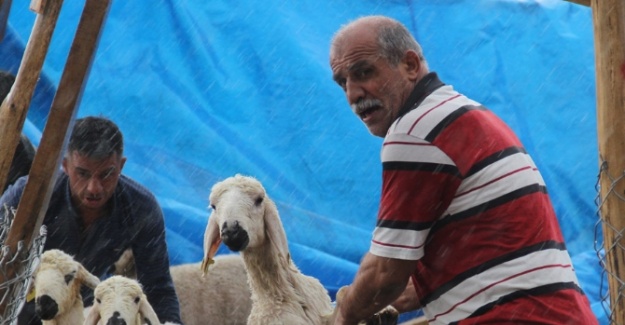 Su baskınından böyle kurtarıldılar