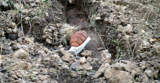 Tam 96 adet el bombası yakalandı