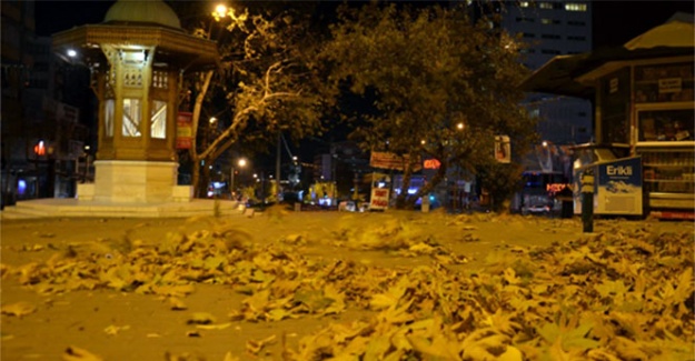 Bursa’da lodos gece boyunca esti, ağaçlar devrildi