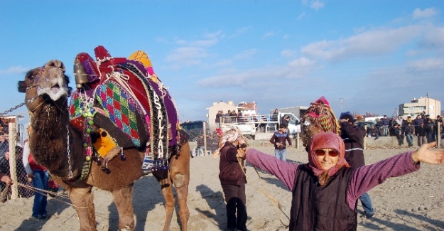 73 yaşındaki kadın devesiyle güreşlere katıldı