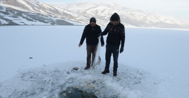 Testereli, baltalı balık avı