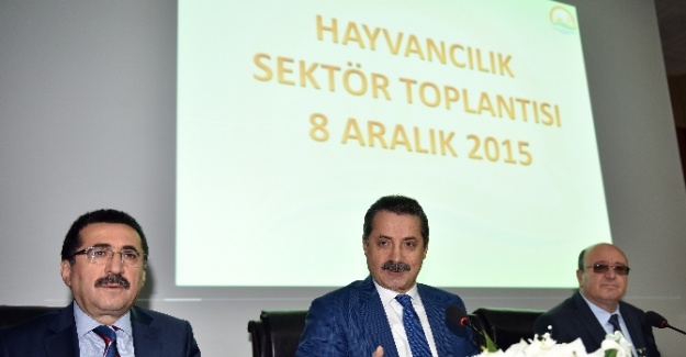 Türkiye’nin büyük ve küçükbaş hayvan sayısını açıkladı