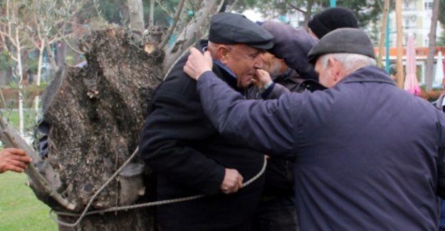 Ağaca bağlayıp bahşiş istediler