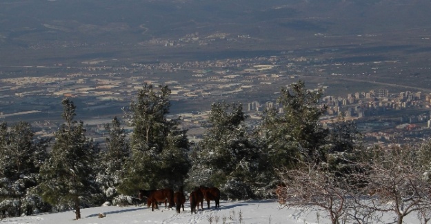 İşte Türkiye’nin Davos’u: Spil Dağı