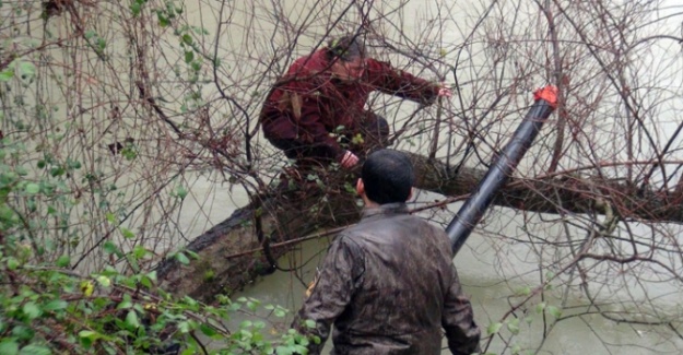 Manavgat Şelalesi’nde can pazarı