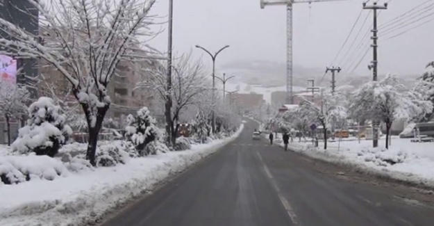 Mardin’de hayat durdu !