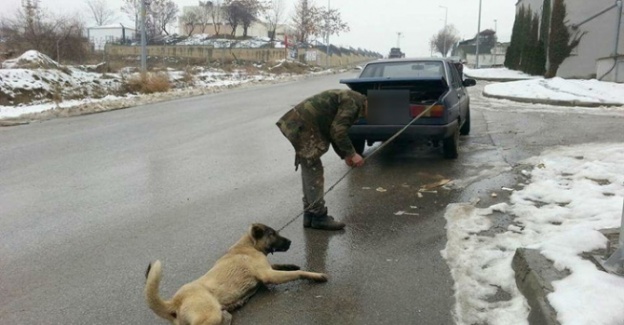 Başkent’te hayvanseverleri ayağa kaldıran görüntü