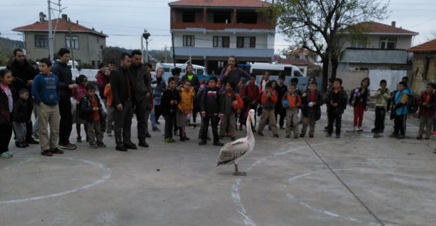 Davetsiz misafir öğrencilerin ilgi odağı oldu