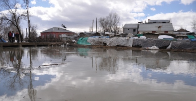 Nehir taştı: Köy sular altında kaldı