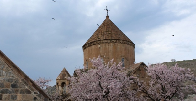 Akdamar Adası çiçek açtı