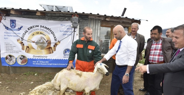 Bu yarışma Türkiye’de ilk kez yapılacak