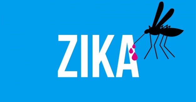 İspanya’da "Zika" paniği