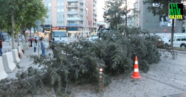 Kırmızı ışıkta beklemekle hayatları kurtuldu