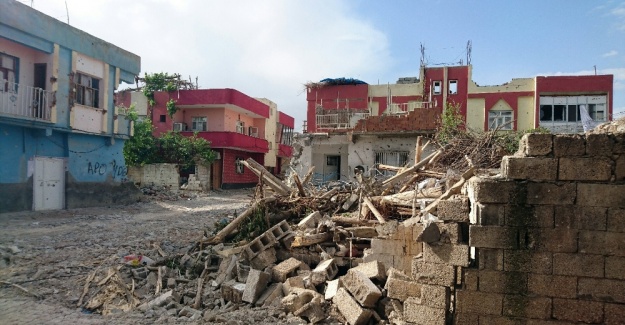 Nusaybin sokaklarındaki tuzaklar imha ediliyor